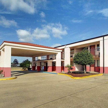 Econo Hospedaje Inn&Suites Forest Exterior foto